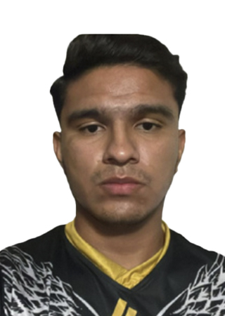 Jesús Guerrero Martínez