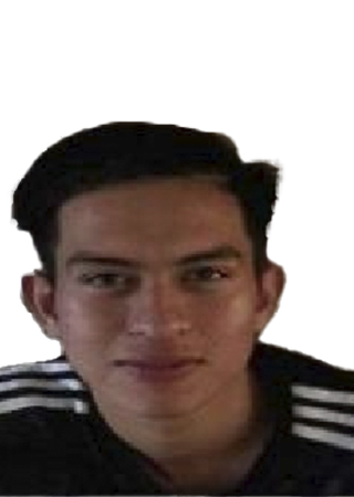 Gerardo Fermín Mata Ávila