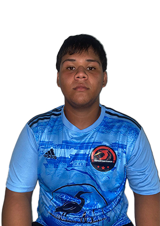 Brandon Nicolás Gutiérrez Carrillo