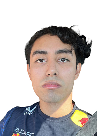 Bryan Manuel Demis Mendiola