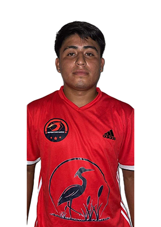 Diego Alexis Nery Lugo